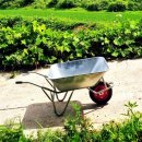 남원 진기리 느티나무 | 구름과 산, 그리고 바람의 마을 에서 보내는 하루 – 산천 이승재 작가의 남원군 보절면 농촌 체험기 🌾