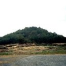 식산봉의 황근자생지 및 상록활엽수림 이미지