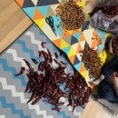 외갓집클라스 이미지