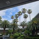 호호네미니호텔 이미지