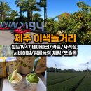 서광농장 | [제주 놀거리 추천] 윈드1947 테마파크,카트, 사격장, 서바이벌, 감귤농장 체험, 오솔록