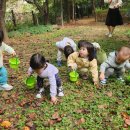 밤줍기 & 밤 까먹기🌰🌰🌰 이미지