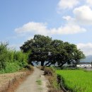 내천경로당 이미지