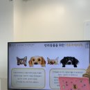 상현역 헤르바플라워, 아로마테라피 베이직과정 수강 후기