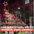유럽 스위스 여행 크리스마스 마켓 추천 취리히 중앙역 싱잉트리 오페라하우스 추천 및 후기
