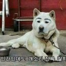 모