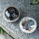 머리천국 - 춘천시 | [북한산 영봉 등산코스] 백운대 대신 영봉 뷰 미쳤고 고양이 천국 등린이 후기