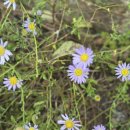 모현동-17 | 군산 카페 또간집 &#39;당골&#39;부터 익산 모현동 참숯집까지