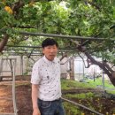 성운농장 이미지