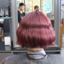 미엘헤어 이미지