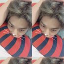 진영냥이 이미지