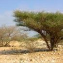 로뎀노인복지센터 이미지