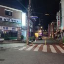 그릴드사우르스