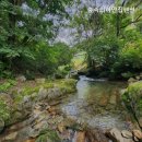 숲속의 하얀집 이미지