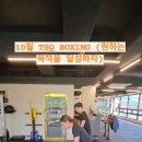 TSQ BOXING 이미지