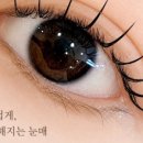 공드린뷰티 - 달서구 | 공드린뷰티