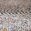 Muslim worshippers 이미지