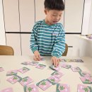 가족보드게임 메모리 아일랜드 숫자 감각 자연스럽게 익혀요