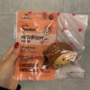 힙독 애견카페 | 용두동 마이힙독 500평 규모 운동장 있는 광주애견카페