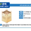 제이엔티 이미지