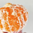 홍순농장 이미지