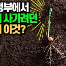 (511) 미국 정부가 은밀히 사가려던 한국의 이것?-콩 종자 이미지