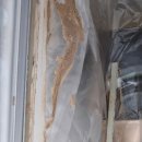 휴먼시아크리닝 | 부천시 오정구 오정동에 오정생활휴먼시아 리젠스 사각싱크볼 리폼