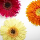 예담산부인과의원 이미지