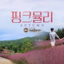 칠  곡 이미지