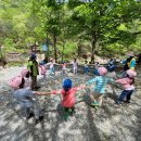 금산산림문화타운 이미지