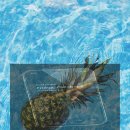 A32 | 갤럭시A32 사용 후기