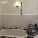 제주락 이미지