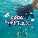 한바다참치 | 세부 한바다호핑투어 | 이보다 더 자세한 후기는 없을걸