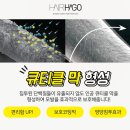 스파시스 이미지