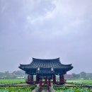 동교길-6 | 경북 청도 여행 대구 근교 가볼만한곳 당일치기 코스 유등연지 청도향교 석빙고