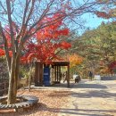흑룡산(도덕봉) 티스토리