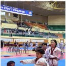 기품태권도장 이미지