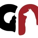 쿨펫동물병원 킨텍스점 이미지