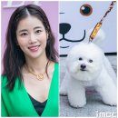 (주)더구름
