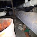 강우동물병원 이미지