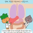 셀프헬스케어 이미지