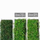 교하슬기유치원 이미지