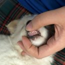 양지동물병원 이미지