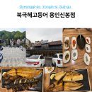 신봉 | 용인 수지 생선구이 맛집 북극해고등어 신봉점 화덕구이 솔직후기