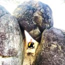 '23년 10월 17일 충북 재천 가은산(575m) 청풍랜드 조각공원(유람선이용) 이미지
