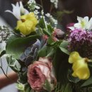 컨포지움 이미지