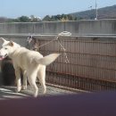 차지킴이 이미지