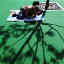 마로니에시근린공원 이미지