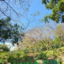 좌천체육공원 이미지