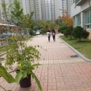 최순규의원 이미지